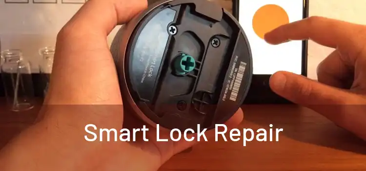 Smart Lock Repair